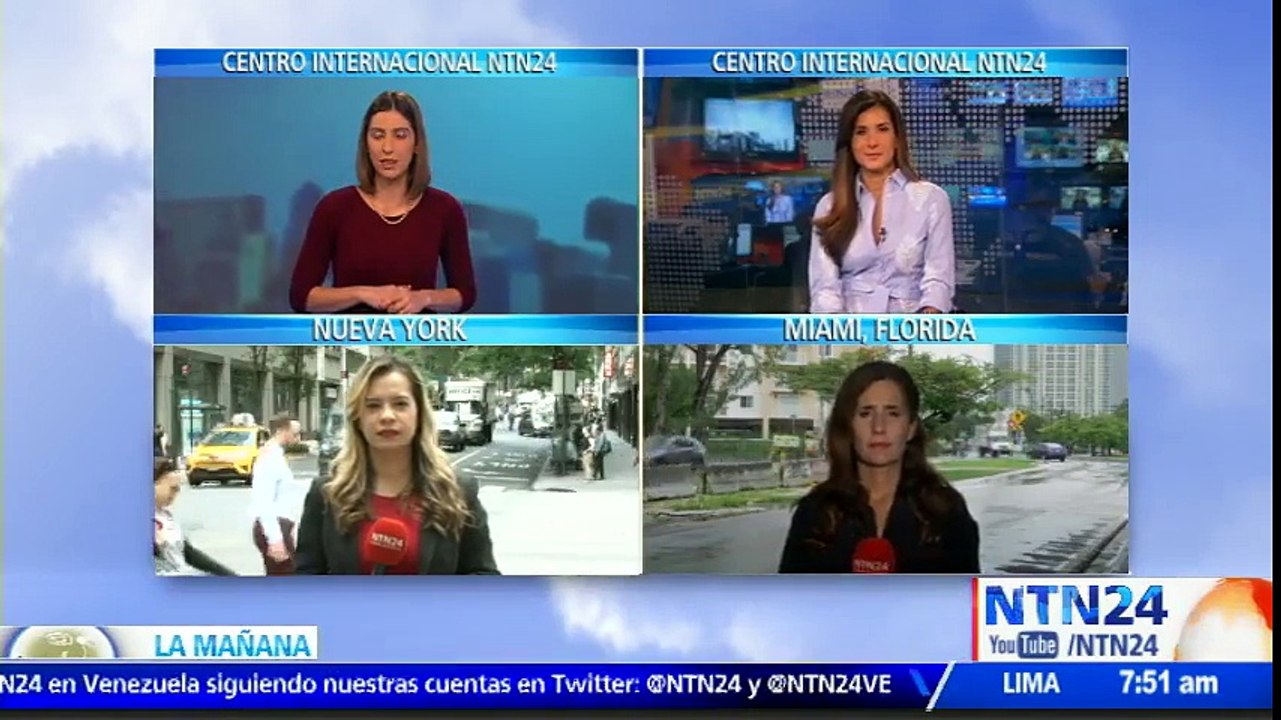 Cerca de 1.000 personas fueron picadas por medusas en Florida durante los últimos días
