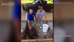 Fishermen In Oklahoma Catch Massive Alligator Snapping Turtle