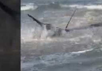 Beached Marlin Dies in Port Aransas Surf, Despite Rescue Efforts