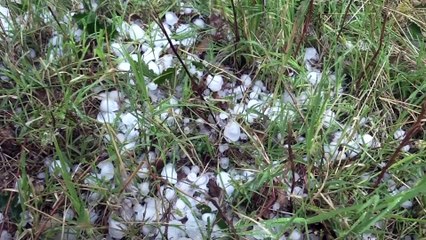 Ceviz büyüklüğünde dolu yağdı - KIRKLARELİ