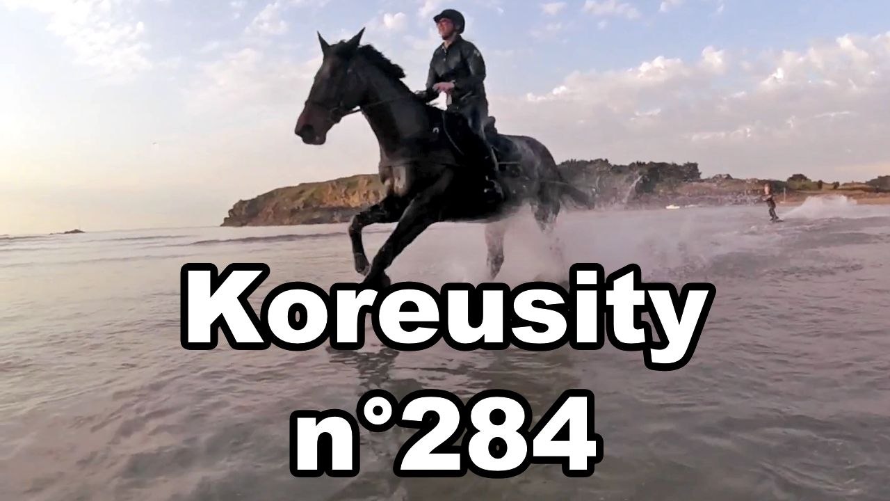 Koreusity n°284