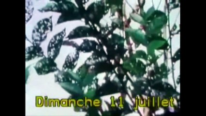 De Seveso à Rouen des usines dangereuses