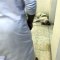 The sleeping dog / Balochi funny video