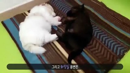 (##)서울출장샵 (카톡:LBN44) {일본인서울콜걸} 주소:XO43,NETヮ여대생출장안마#서울콜걸샵#미시출장만남ヮ분수쇼출장샵추천ヮ서울출장업소 #서울출장대행