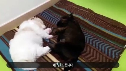 이천콜걸(#U)＼【카톡:hix22】＼ ≫이천출장샵《HIS35,NET》일본인출장만남ポ이천출장업소ポ분수쇼출장안마ポ이천출장샵ポ20대서비스＼일본인출장샵강추 이천콜걸샵