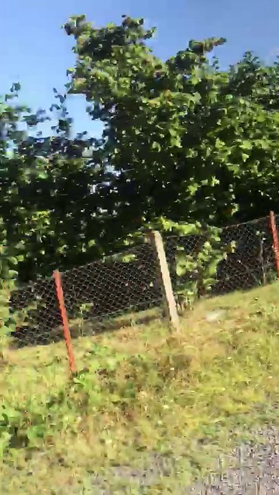 BATU MÜFTÜOĞLU: "BASMADIK YER BIRAKMAYACAĞIZ!.."
