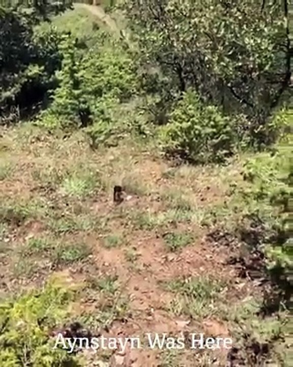 PUBG oynayan Türk Askeri