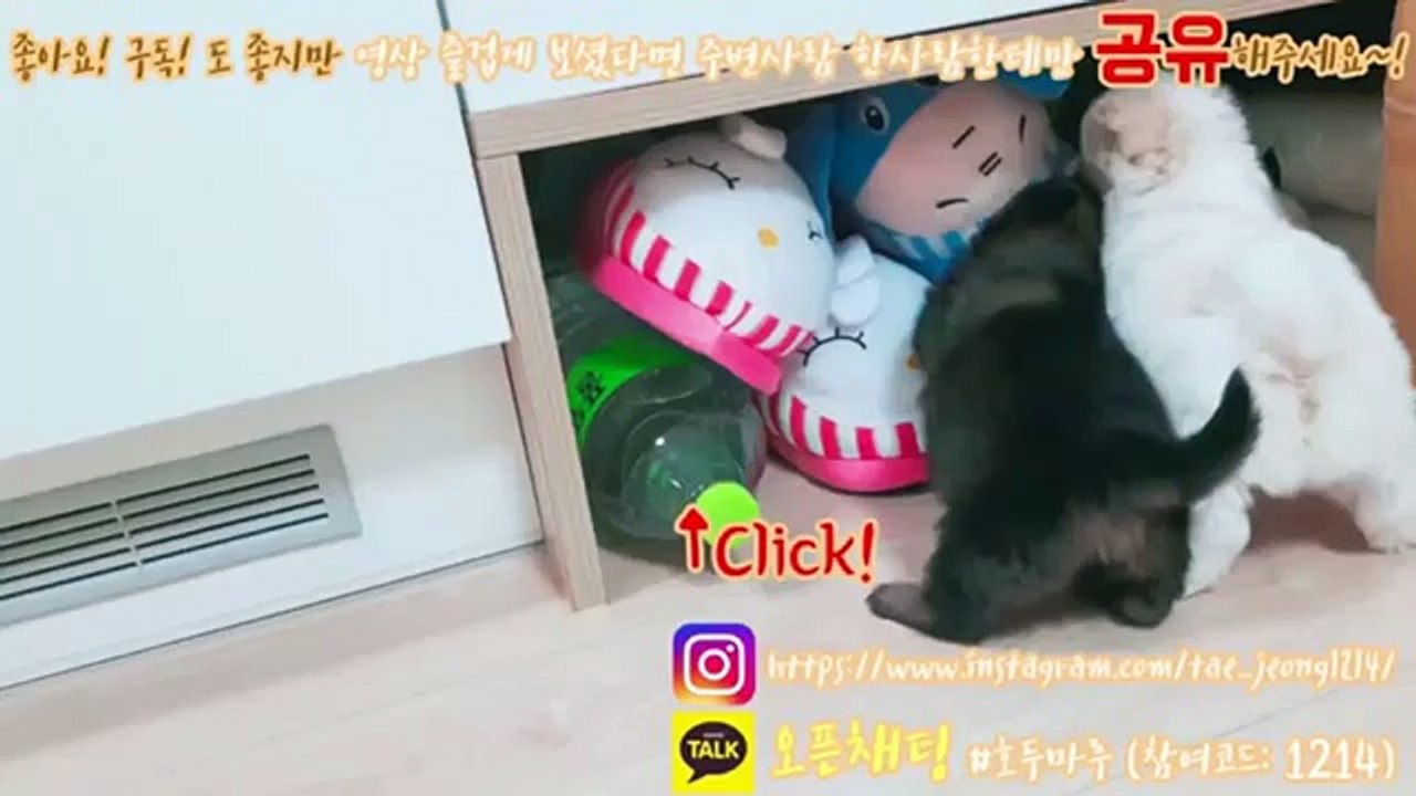 {서천출장샵}ワ＂≫서천콜걸「／카톡LBN44 ／XO43,NET／」서천출장샵추천(ボ)일본인출장안마 [추천]ボ서천출장만남ボ여대생출장샵추천ボ일본인출장샵ボ서천콜걸샵