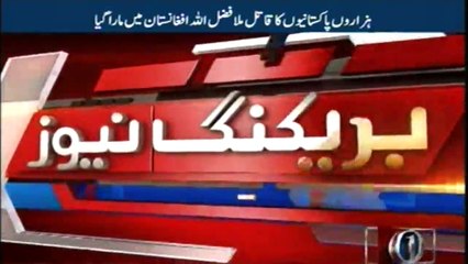 Mullah Fazal Ullah killer of Pakistanis killed in Afghanistan