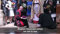 Stephen Hawking's ashes interred at Westminster Abbey