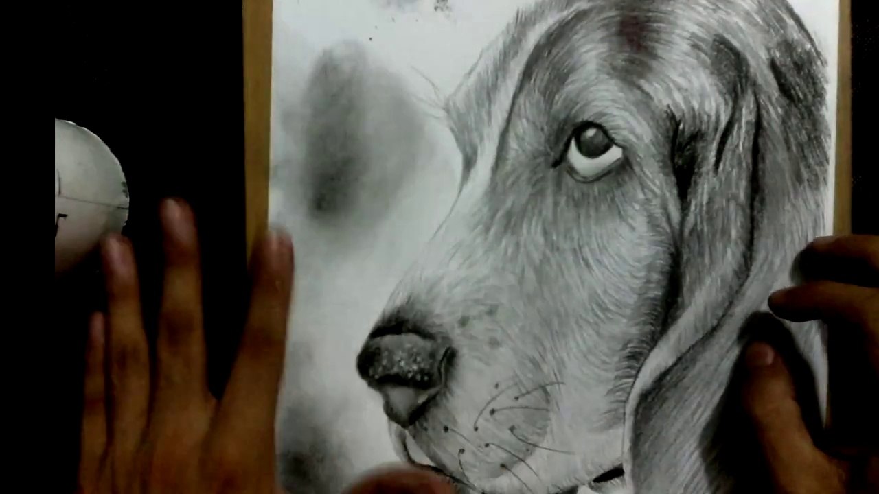 como dibujo un Haspapi a lapiz y lapicero | Drawing a pencil and pen dog