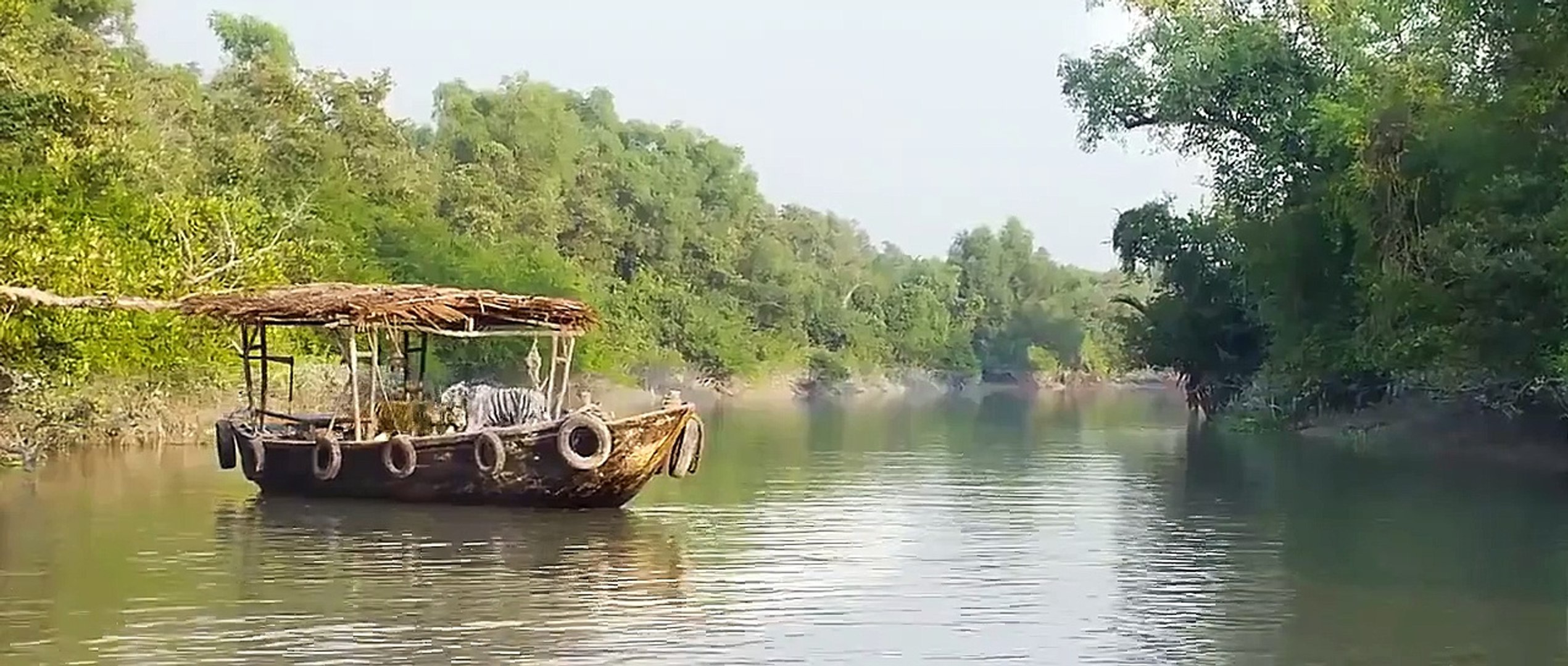 Roar Tigers Of The Sundarbans Eng Sub Indian Movie Part 2