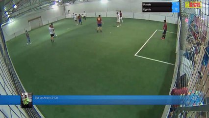 But de Andy (3-12) - Russie Vs Egypte - 15/06/18 20:00 - CDM 2018 Poule A 15/06 - Poitiers Game Parc