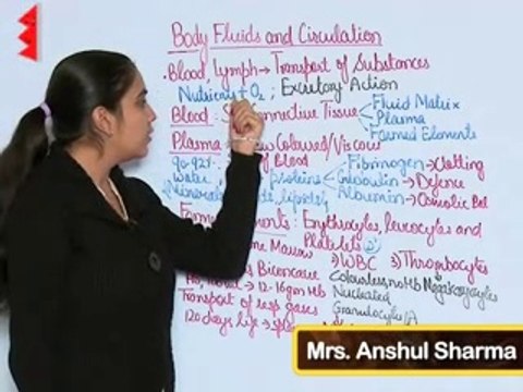 Body Fluids & Circulation | Class 11 Biology