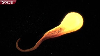 Kara delik ilk defa yıldızı yutarken görüntülendi
