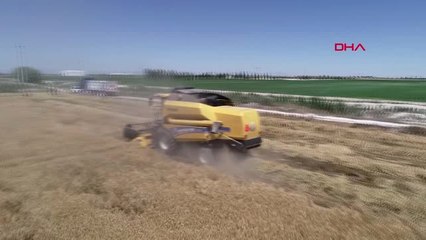 Konya İklim Değişikliği, Buğdayın Erkan Hasat Edilmesine Neden Oldu Hd