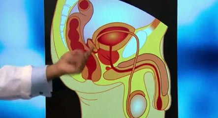 Jeremy Kyle  039 s Emergency Room S01  E09 E 9 - Part 02