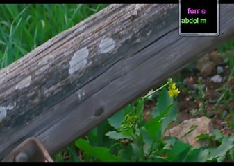 مسلسل النار الباردة الحلقة الاخيرة