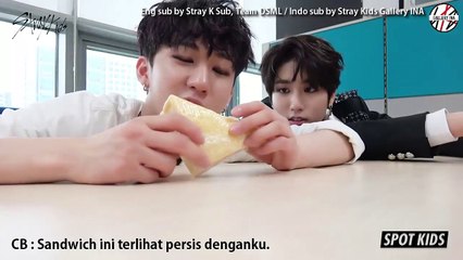 [INDO SUB] SPOT KIDS Black SKZ Spending a Small Moment of Happiness with Mr. Sandwich (180616)