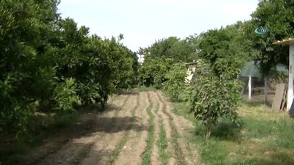 Hollandalı Diane, Türkiye'de Organik Tarım Yapıyor