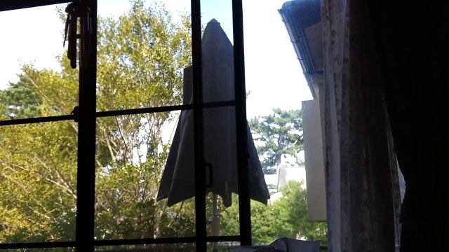 (LOUD) EDR September #19 2017 Noise Harassment of Aircraft, Leaves Blowing and People's Talking