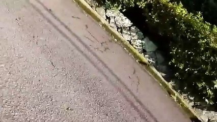 EDR September #28 2017 　Light Plane Flies Near My House