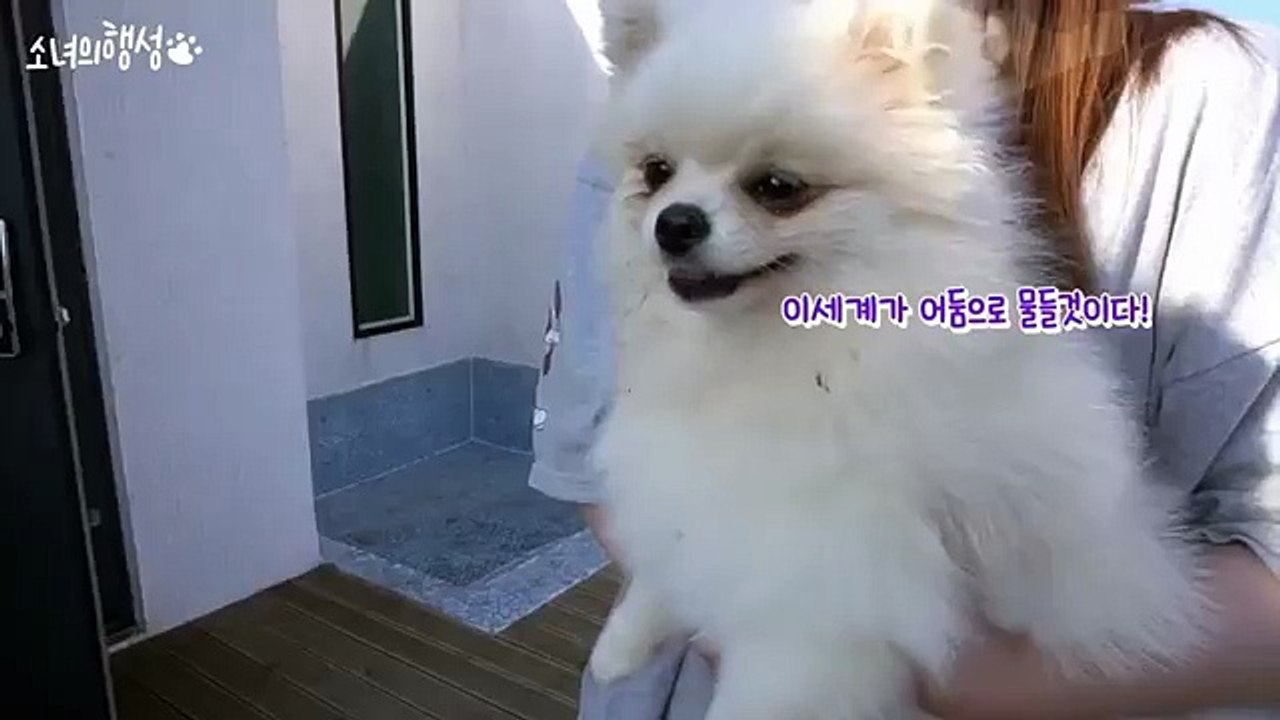원주출장안마 원주콜걸（XO42,NET）카톡LBN44 일본인출장만남ャ원주출장샵ャ원주콜걸샵ャ원주출장업소ャ원주콜걸만남ャ원주출장마사지ャ원주출장서비스ヮ