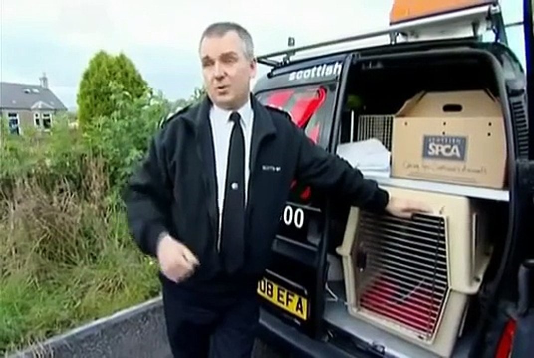 Animal Cops: Scottish SPCA Ep 3