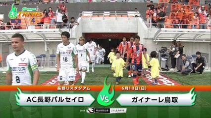 ガイナーレＴＲＩＢＥ