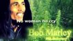 Bob Marley No Woman No Cry HD720 m2  basscover Bob Roha
