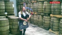 Lannion. Kilts et cornemuse de sortie à la distillerie Warenghem