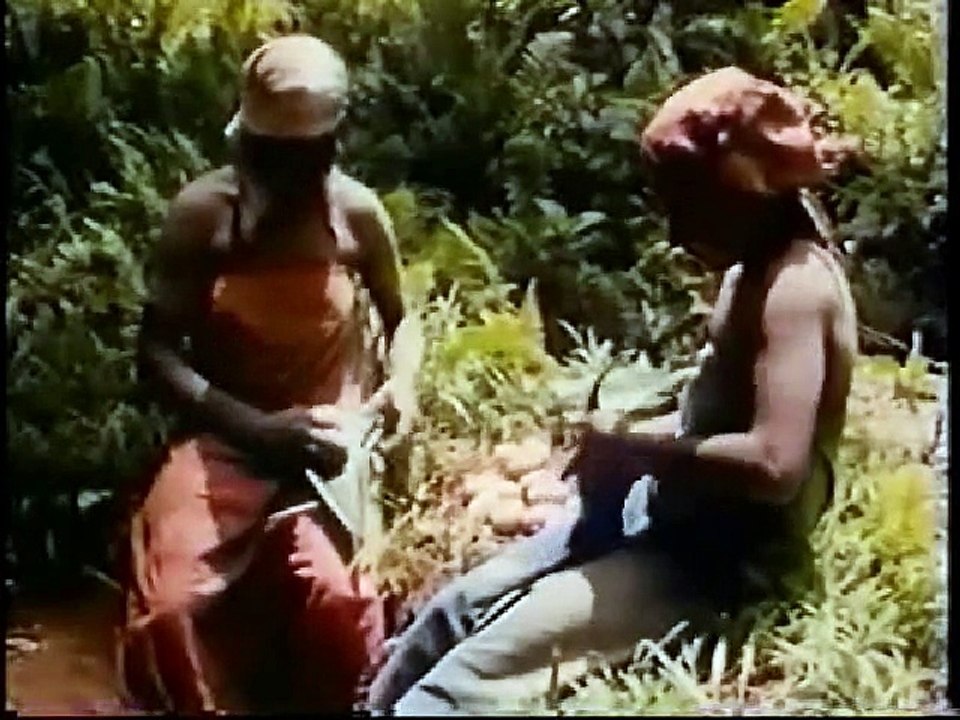 New Guinea (Part 2): Other Worlds