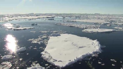 "남극 얼음 녹는 속도 5년 새 3배 빨라졌다" / YTN