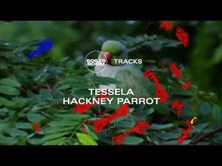 Rave belter to match the 90s originals?  Tessela's massive Hackney Parrot | Boiler Room