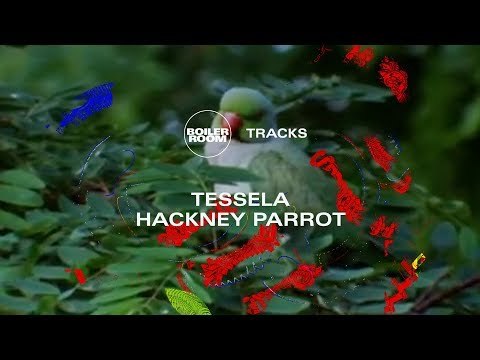 Rave belter to match the 90s originals? Tessela's massive Hackney Parrot | Boiler Room