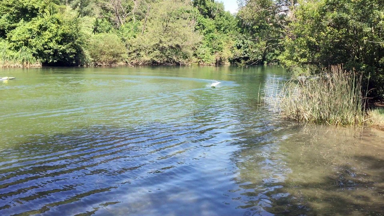 TEST ProBoat Veles 29 6s - Alpha & Inception 6s - BlackJack 29 v1.0 6s