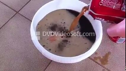 Egg in Coca Cola for 1 Year (Amazing Video of the World) - YouTube