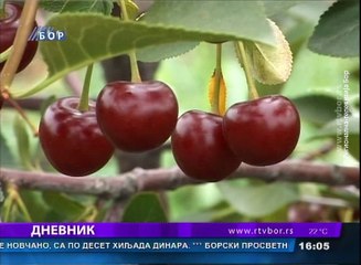 Dnevnik, 16.jun 2018. (RTV Bor)