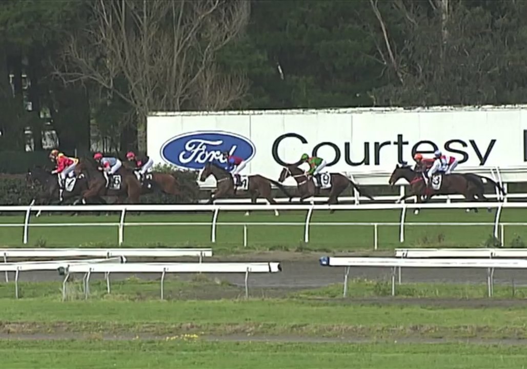 Jockey Remounts After Being Knocked From Horse During Fall, Then Wins Race