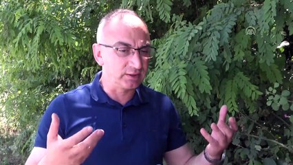 Patileri kesilen yavru köpeğin ölümü (3) - SAKARYA