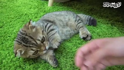 {옥천출장샵}ワ＂≫옥천콜걸「／카톡LBN44 ／XO43,NET／」옥천출장샵추천(ペ)일본인출장안마 [추천]ペ옥천출장만남ペ여대생출장샵추천ペ일본인출장샵ペ옥천콜걸샵