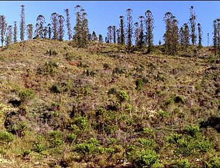 Walking With Dinosaurs (1) New Blood