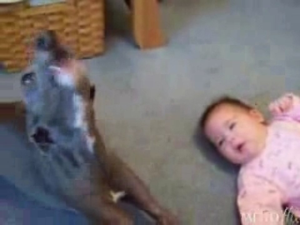 Baby-Dog-Duet