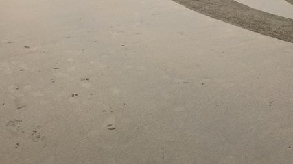 Traezh Breizh, premier festival du sable à Trestraou