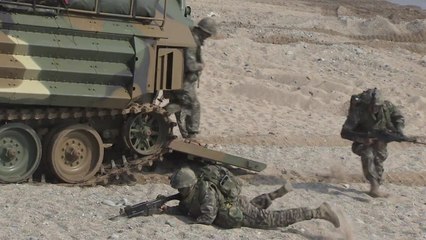 폭스뉴스 "美 국방부, 8월 한미연합훈련 취소 예상" / YTN