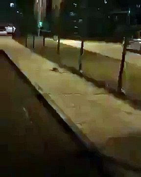 Жестокое нападение на человека