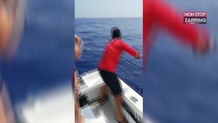 Des pêcheurs se font voler leur prise par un requin (vidéo)