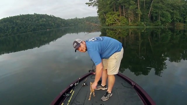 Ces pecheurs vont trouver 2 chatons au milieu du lac, sur le point de se noyer