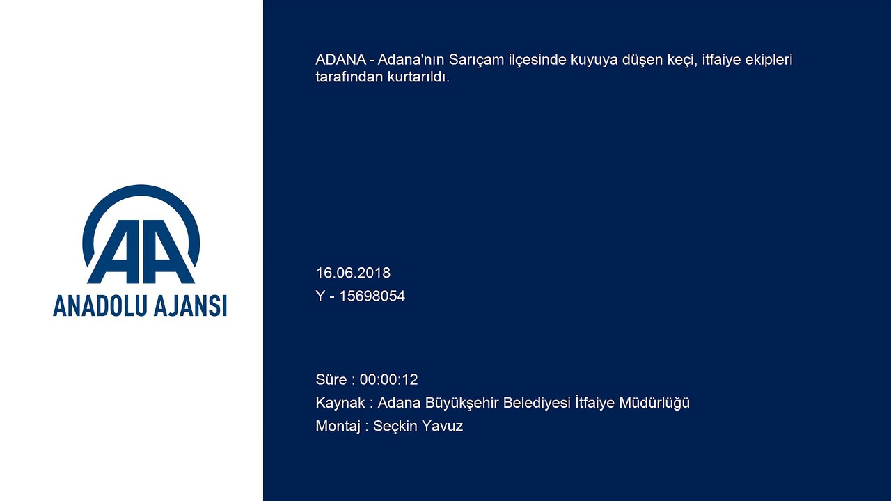 Adana itfaiyesinden keçi kurtarma operasyonu