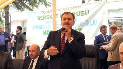 Bakan Eroğlu: 'Düşmanın tek hedefi var Türkiye'yi yıkmak' - AFYONKARAHİSAR